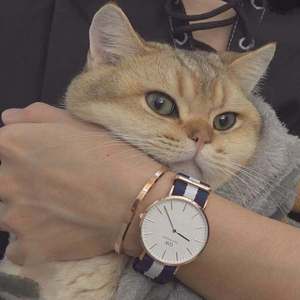 白丝小脚夹住命根上下摩擦的预防措施有哪些
