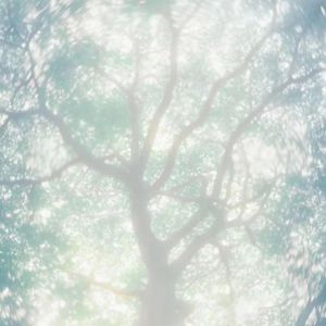 白丝小脚夹住命根上下摩擦的预防措施有哪些
